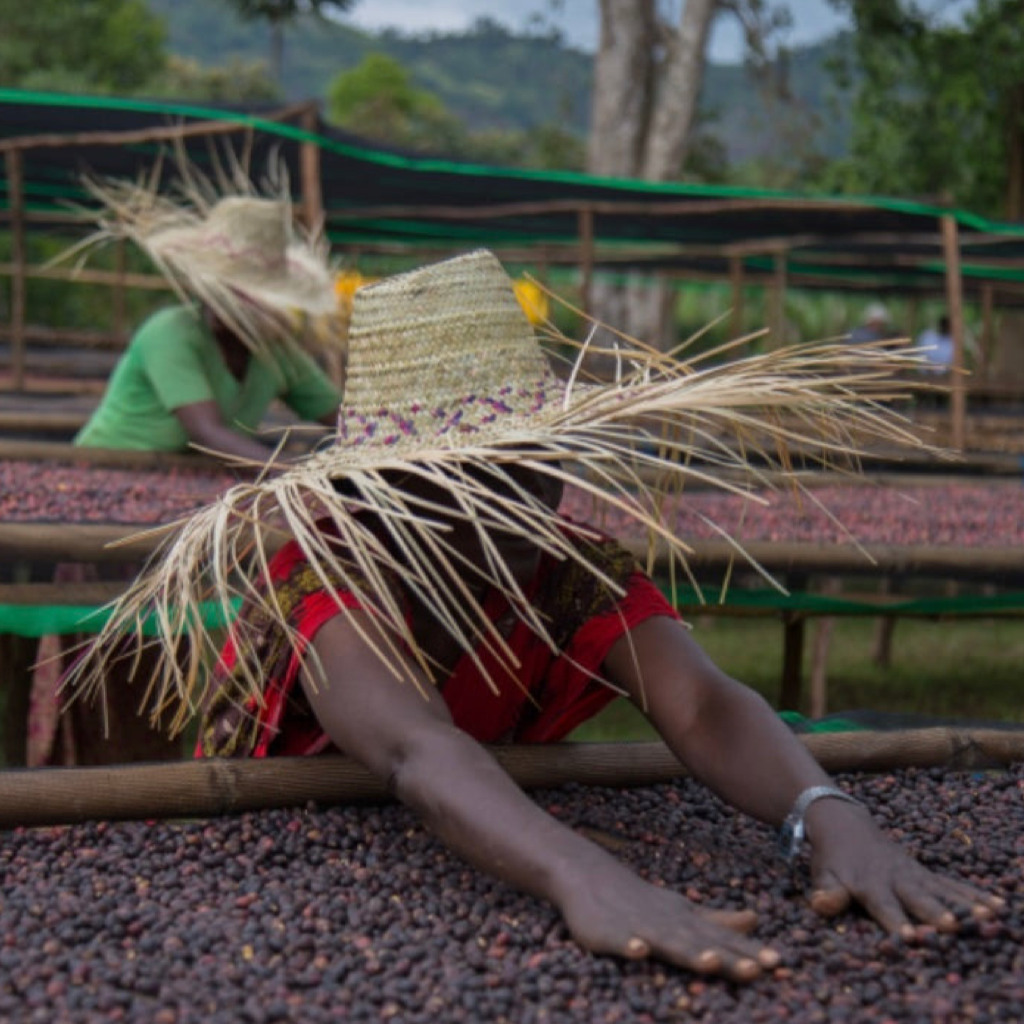 Ethiopia Durato Bombe Natural