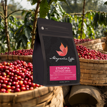 Load image into Gallery viewer, Ethiopia Yirgacheffe &quot;Kefyalew Obese&quot; Anaerobic Natural - super limited single lot producer
