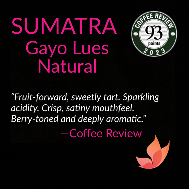 Sumatra Gayo Lues NATURAL - new arrival - 93 points!