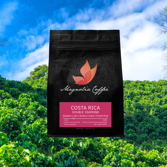 Costa Rica Finca El Cañal from Las Lajas