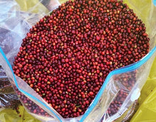 Load image into Gallery viewer, Ethiopia Microlot Coffee Box - Limited Release!  Special Price &amp; FREE SHIPPING!
