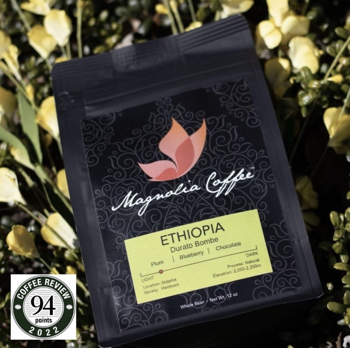 Ethiopian Hand Drip Coffee (20 ct) – Cafe Emporos