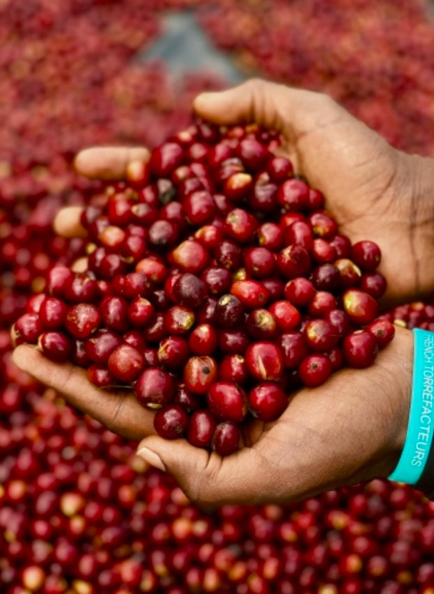 Ethiopia Durato Bombe Natural